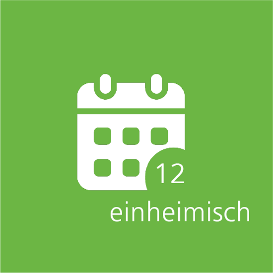 Bild von Hallenbad 12er Abo Erwachsene einheimisch